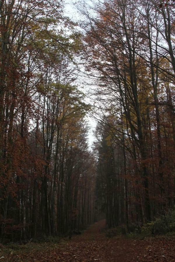 Walddorf Winterberg